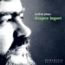 Despre ingeri (audiobook) - Plesu Andrei