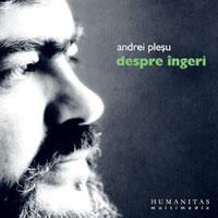 Despre ingeri (audiobook) - Plesu Andrei