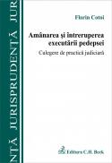 Amanarea si intreruperea executarii pedepsei. Culegere de practica judiciara - Cotoi Florin