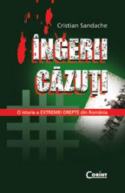 Ingerii cazuti  - Cristian Sandache