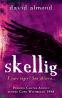Skellig - David Almond