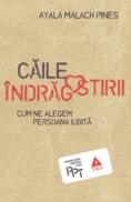 Caile indragostirii. Cum ne alegem persoana iubita - Ayala Malach Pines