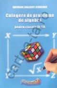 Culegere de probleme de aritmetica si algebra pentru clasele IX - XII - Gheorghe Adalbert Schneider