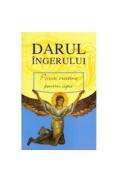 Darul Ingerului 2008 - -