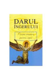 Darul Ingerului 2008 - -