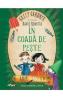 In coada de peste. Seria Aripi si Co Vol.2 - Sally Gardner