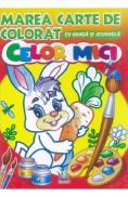 Marea carte de colorat cu guasa si acuarela. Celor mici - -