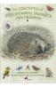 Sa descoperim vietuitoarele salbatice din gradina - -