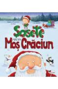 Sosete pentru Mos Craciun - Adam Guillain, Charlotte Guillain, Lee Wildish - Lee Wildish
