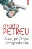 Acasa, pe Cimpia Armaghedonului - Marta Petreu
