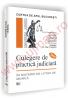 Curtea de Apel Bucuresti Culegere de practica judiciara 2005 in materie de litigii de munca - Carmen-Georgiana Comsa 
							,													 Viorica Cosma 
							,													 Lizeta Harabagiu 
							,													 Valentina Ionescu 
							,													 Pauna Neculae 
							,													 Elena Daniela Opris 
							,													 Magdalena P