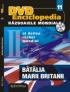 Nr. 11 Razboaiele Mondiale - Batalia Marii Britanii - 
