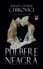 Pulbere neagra - Eugen Ovidiu Chirovici