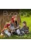 Bucovina - Florin Andreescu