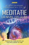 Meditatie la nivel celular - Barry Grundland, Patricia Kay - Barry Grundland