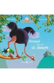 Strutul care visa sa zboare - Christine Beigel