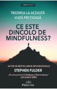 Ce este dincolo de Mindfulness? - Stephen Fulder