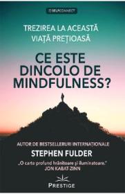 Ce este dincolo de Mindfulness? - Stephen Fulder