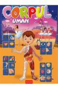 Corpul uman - -