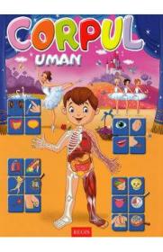 Corpul uman - -