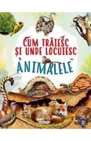 Cum traiesc si unde locuiesc animalele - Autor Anonim