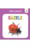 Gazele - Bebe cunoaste - -