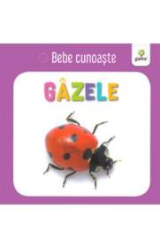 Gazele - Bebe cunoaste - -