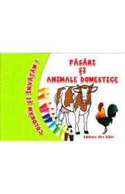 Pasari si animale domestice - Coloram si invatam! - -