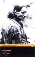 Grey Owl - Vicky Shipton