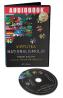 Audiobook. Virtutea nationalismului - Yoram Hazony