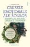 Cauzele emotionale ale bolilor - Christian Fleche