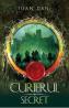Curierul secret. Seria Cavalerii Vol.2 - Ioan Dan