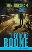 Theodore Boone: Rapirea - John Grisham