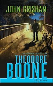 Theodore Boone: Rapirea - John Grisham