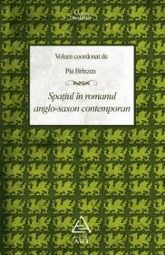 Spatiul in romanul anglo-saxon contemporan - Pia Brinzeu