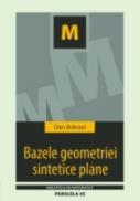 Bazele Geometriei Sintetice Plane - Branzei Dan