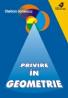 Privire In Geometrie - Ionescu Stelian
