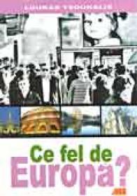Ce Fel De Europa? - TSOUKALIS Loukas
