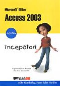 Microsoft Office Access 2003 Pentru Incepatori - GUNDERLOY Mike, Trad.RAICA Razvan