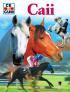 Caii - Kerstin Neumann