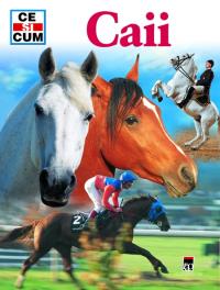 Caii - Kerstin Neumann