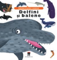 Delfini si balene -  Larousse
