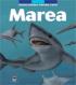 Marea -  Larousse