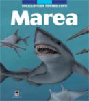 Marea -  Larousse