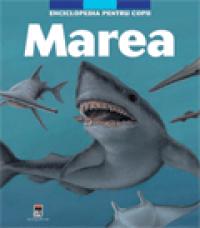 Marea -  Larousse