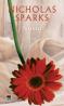 Nunta - Nicholas  Sparks