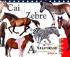 Antologia creaturilor uimitoare: Cai si Zebre - ***