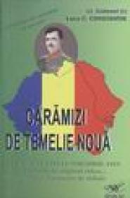 Caramizi de temelie noua. 14 august 1916 - 14 noiembrie 1919 - Luca C. Constantin