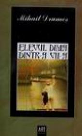 Elevul Dima dintr-a VII-a - Mihail Drumes