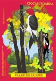 PASARI DIN FAUNA ROMANIEI CARE TRAIESC IN PADURE - Istina Mirescu, Olivia Campean